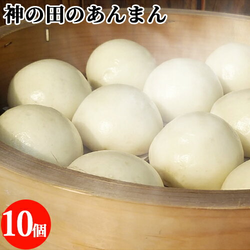 添加物&保存料不使用 手作り あんまん 10個(2個入×5)セット 中華まん 点心 餡子 スイーツ おやつ 冷凍便 神の田(かんのだ)