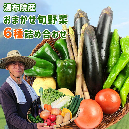 大分県湯布院産 産地直送 朝穫れ旬野菜6種詰め合わせセット 冷蔵便 九州産 新鮮 地物野菜 季節限定 ...