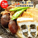 大分県佐伯市産 もどしいらず 原木栽培乾しいたけ 中肉 100g×2個セット 天日干し 椎茸 ビタミンD 常温 国産 乾しいたけ日本一の大分県 かやの椎茸屋【送...