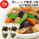 大分県佐伯市産 もどしいらず 原木栽培乾しいたけ 小粒 100g×2個セット 天日干し 小ぶりな椎茸 ビタミンD 常温 国産 乾しいたけ日本一の大分県 かやの椎...