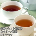 大分県佐伯市本匠産因尾茶葉使用 発酵いちょう葉紅茶＆オリーブ紅茶 各3g×12個ずつ ブレンドティー ティーバッグ TB 水出しOK 国産 九州産 小野農園 送料込