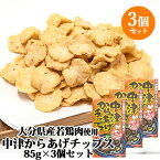 大分県産若とり使用 中津からあげチップス 85g×3個セット 油菓子 若鶏 唐揚げ カラアゲ 菓子 スナック おやつ 宝物産【送料込】