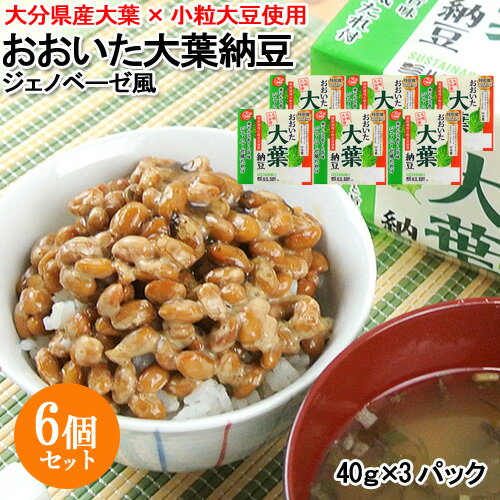 おおいた大葉納豆ジェノベーゼ風(40g×3) 6個セット 大