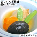 大分県佐伯市産 もどしいらず 原木栽培乾しいたけ 選べる3個セット 100g×いずれか3個入り(中肉or小粒) 天日干し 椎茸 ビタミンD 常温 国産 かやの椎茸屋