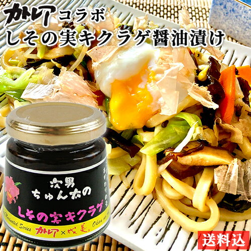 カトレア醤油使用 ごはんのおかわりの素 しその実キクラゲしょうゆ漬け 140g 大分県産素材 ご飯のお供 調味料 おかず Oita成美 送料込【指定日不可】
