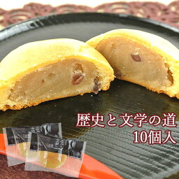 佐伯の和菓子新銘菓 歴史と文学の道 10個 月うさぎ 古川製菓【送料込】