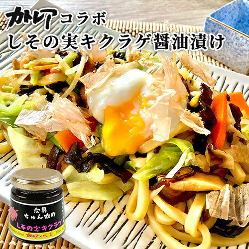 カトレア醤油使用 ごはんのおかわりの素 しその実キクラゲしょうゆ漬け 140g 大分県産素材 ご飯のお供 調味料 おかず Oita成美 BUO
