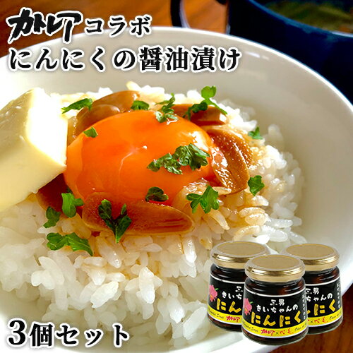 カトレア醤油使用 ごはんのおかわりの素 にんにくのしょうゆ漬け 140g×3個セット 大分県産素材 ご飯のお供 調味料 おかず Oita成美【送料込】 BUO