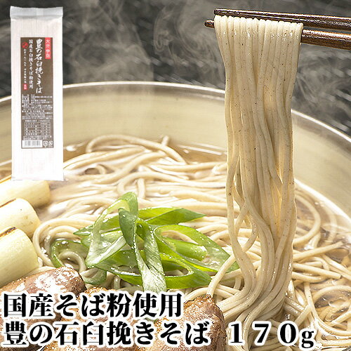 訳あり国産そば粉使用 豊の石臼挽きそば 170g 熟練された製法 つけ麺など麺料理全般に 四井製麺