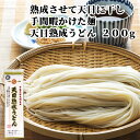 厳選素材と大分県産小麦をブレンド 天日熟成うどん 200g 長洲麺 饂飩 四井製麺