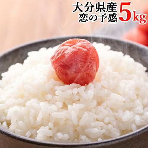 令和3年度産 ジオ蔵出し色選米 恋の予感 5kg 大分県豊後大野市産 特別栽培米 うるち白米 お米 精米 ご飯 ブランド米 九州中央米市場【送料込】のサムネイル