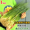 農薬・化成肥料不使用 国東市産 森さんのネギ 1kg 農未来LAB【送料込】