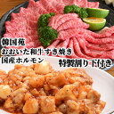 肉質4等級以上 おおいた和牛すき焼き&秘伝のタレに漬け込んだ 国産ホルモン 特製割り下付き (牛肉 約500g 割り下 300gホルモン200g×3) もつ モツ 牛肉 韓国苑 【送料込】