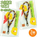 【受注生産】大分県産七島イ草使用 七島藺(しちとうい)キーホルダー 3色カラー(赤)×2個セット ミサンガ 杵築七島藺マイスタークラブ【送料込】(4)