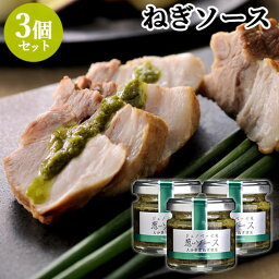 大分産味一ネギ使用 ネギソース 45g×3個セット ジェノベーゼ風ソース 万能調味料 ドレッシング 田中醤油店【送料込】