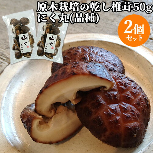 2個セット 国東半島で原木栽培 乾し椎茸 香信 50g にく丸(菌) くにさき半島 山や【送料込】