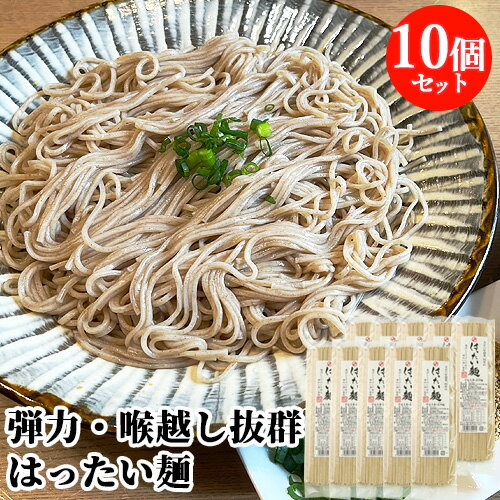 10個セット 宇佐名産 長洲麺 食欲をそそる豊かな風味と弾力 はったい麺 200g 四井製麺【送料込】