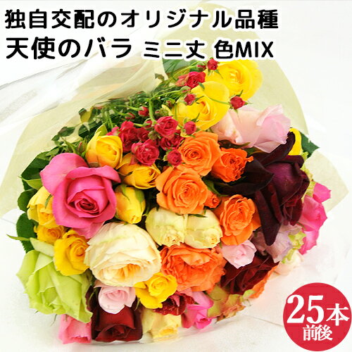 食べられるほど安心な薔薇 天使のバラ ミニ丈ブーケ 色MIX 残留農薬ゼロ フラワーギフト アレンジメント アトリエ天使のバラ ほんだバラ香園【送料無料】