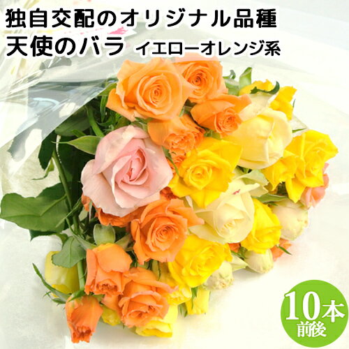 食べられるほど安心な薔薇 天使のバラ ブーケMサイズ イエローオレンジ系 残留農薬ゼロ フラワーギフト アレンジメント アトリエ天使のバラ ほんだバラ香園【送料込】 KTBU