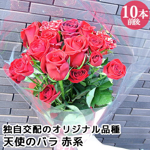 食べられるほど安心な薔薇 天使のバラ ブーケMサイズ 赤系 10本前後 残留農薬ゼロ フラワーギフト アレンジメント アトリエ天使のバラ ほんだバラ香園【送料込】 KTBU