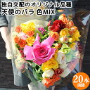 食べられるほど安心な薔薇 天使のバラ ブーケLサイズ 色MIX 20本前後 残留農薬ゼロ フラワーギフト アレンジメント アトリエ天使のバラ ほんだバラ香園【送料込】 KTBU