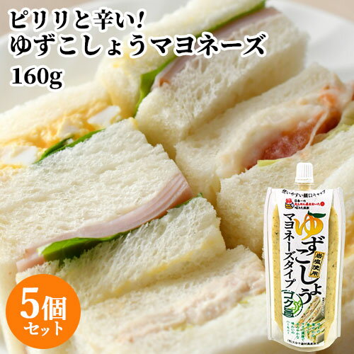 柚子胡椒屋が作った パウチ入り ゆずこしょう マヨネーズタイプ 160g×5個セット 岩塩＆米みそ入り 万能..