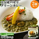 大分県産パセリ＆おおいた冠地どり 大分パセリカレー 1人前 180g 2個セット グリーンカレー レトルトカレー アダージョ Adagio【メール便送料込】 OIKI