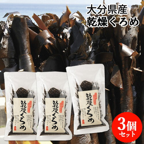 大分県佐賀関名産 乾燥くろめ 20g 3個セット ねばる海藻 食物繊維 佐賀関加工グループ【送料込】