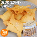 国産素材を使用したこだわりクッキー 海がめ塩クッキー 8枚入り×3個セット 大分県産なずなの塩 ギフトボックス入り オノヨーガシ【送料込】