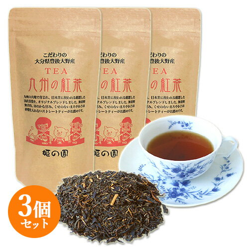 大分県豊後大野産 紅茶 80g×3個セット こだわりの日本産 九州の紅茶 無香料 無着色 国産紅茶 国産茶葉 姫の園【送料込】