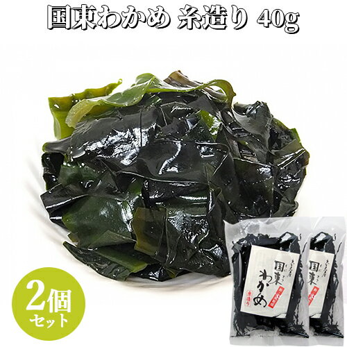 磯の風味が鮮やかに香る 大分県産 国東わかめ 糸造り 40g×2個セット 養殖ワカメ 海藻 サラダ 味噌汁 酢の物 お吸い物 国産 豊後水道 竹永海商【送料込】