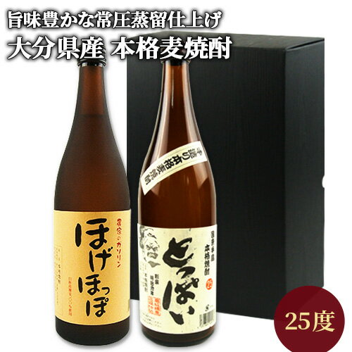 【クーポン利用で20%OFF】 大分麦焼酎 常圧蒸留 飲み比べセット(久家本店 ほげほっぽ＆南酒造 とっぱい) 25度 720ml×2本【送料込】