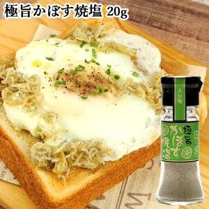 お中元 大分産かぼす使用 極旨 かぼす焼塩 20g 九州産塩&スパイスをブレンド ご当地塩 フードスタッフ SAYU