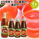 大分県竹田市荻町産完熟とまと使用 トマトジュース500ml×1本&トマトケチャップ385g×3本 満足セット 減農薬栽培 エム・ナイン(めぐみ会)【送料込】