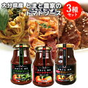 大分県竹田市荻町産完熟とまと使用 トマトケチャップ・焼肉のたれ・トマバジソース おおいた荻町セット 減農薬栽培 エム・ナイン(めぐみ会)【送料込】