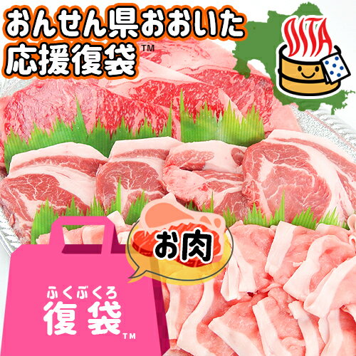 おんせん県おおいた ふっこう復袋(福袋) 精肉詰め合わせセットA 送料込み 冷凍 豚肉 大分県支援 復興 トキハインダストリー OIKI