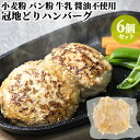 大分県産 冠地どりハンバーグ 120g 6個入り 冷凍 鶏肉 九州産 国産 地鶏 地どり おかず 惣菜 個包装 冷凍 ごちそう雲隠れ KTBU