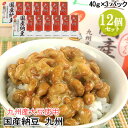 国産納豆 九州(40g×3) 12個セット 九州産大豆 本醸造醤油使用 からし付き ご飯のお供 ご飯のおとも ごはんのお供 朝食 なっとう 二豊フーズ OIKI