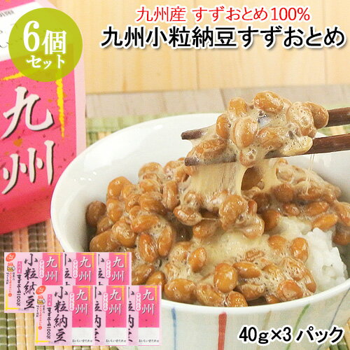 九州小粒納豆 すずおとめ(40g×3) 6個セット 九州産大豆 本醸造醤油使用 国産 こつぶ ご飯のお供 ご飯のおとも ごはんのお供 朝食 なっとう 二豊フーズ【送料込】 OIKI