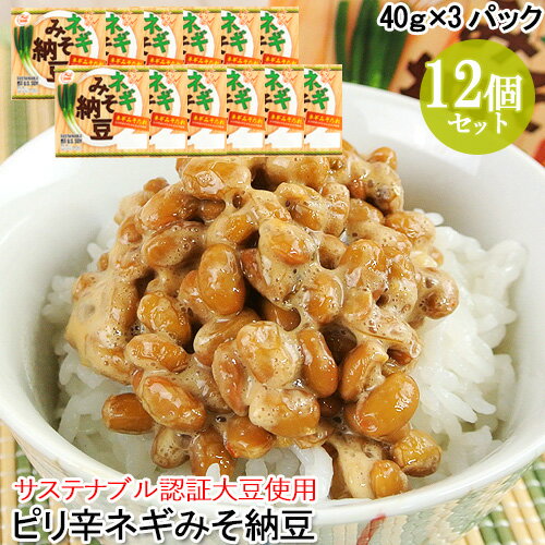 ピリ辛ネギみそ納豆(40g×3) 12個セット サステナブル認証大豆 大分県産ねぎ あわせみそ ご飯のお供 ご飯のおとも ごはんのお供 朝食 なっとう 二豊フーズ【送料込】