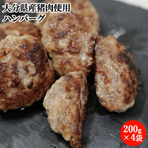 ジビエ初心者でも食べやすく簡単調理！ イノシシ生ハンバーグ 200g×4袋セット 大分県産猪肉 お惣菜 おかず お弁当 おつまみ 冷凍便 産地直送 安心院ソーセージ【送料込】のサムネイル