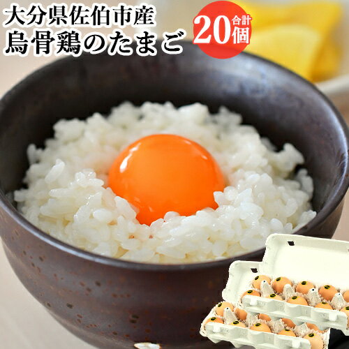 のびのび放し飼い 平飼い烏骨鶏のたまご 10個入り×2パック(合計20個)セット 高級卵 うこっけい 栄養豊富 産地直送 国産 九州産 大分県佐伯市産 冷蔵 元...