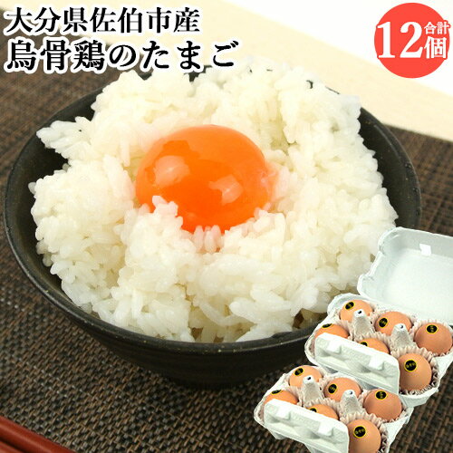 のびのび放し飼い 平飼い烏骨鶏のたまご 6個入り×2パック(合計12個)セット 小分け 高級卵 うこっけい 栄養豊富 産地直送 国産 九州産 大分県佐伯市産 冷...