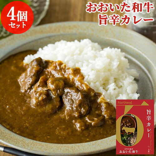 和牛日本一の大分県産ブランド肉 おおいた和牛 旨辛カレー 200g 4個セット 4人前 ビーフカレー 黒毛和牛 赤唐辛子 レトルトパウチ スープキッチン大分 Oita成美【送料込】