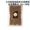 湯布院産 玄米の玄米麹粉末使用 糀屋本店 キスケ糀パワーゴールデン 2g×50包【送料込】 SAIKI