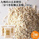 九州産の玄米使用 糀屋本店 乾燥玄米糀 (三分づき) 210g×3個セット【送料込】 SAIKI