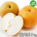 朝採れ直送 大分県産 庄内梨(品種おまかせ) 3kg 朝採り和梨 九州産 クール便 <秋月 新高 甘太 南水 王秋など> 安心いちばん大分県認証 はじファーム【送料込】