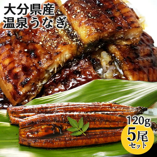 天然温泉で育った鰻 温泉うなぎ蒲焼 120g×5尾セット(特製タレ30ml×2本・山椒5袋) 無投薬 温泉かけ流し 大分県産養殖鰻 電子レンジ加熱 日本ギフト大賞受賞 大分水産【送料込】