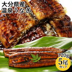 天然温泉で育った鰻 温泉うなぎ蒲焼 120g×5尾セット(特製タレ30ml×2本・山椒5袋) 無投薬 温泉かけ流し 大分県産養殖鰻 電子レンジ加熱 日本ギフト大賞受賞 大分水産【送料込】 KTBU