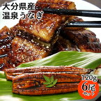 天然温泉で育った鰻 温泉うなぎ蒲焼 120g×6尾セット(特製タレ30ml×2本・山椒6袋) 無投薬 温泉かけ流し 大分県産養殖鰻 電子レンジ加熱 日本ギフト大賞受賞 大分水産【送料込】 KTBU